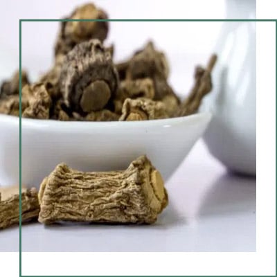 Anantmul Extract Manufacturer - Supplier, India, Exporter
