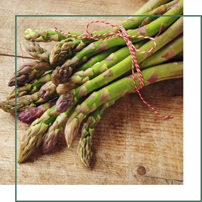 Asparagus Herbal Extracts