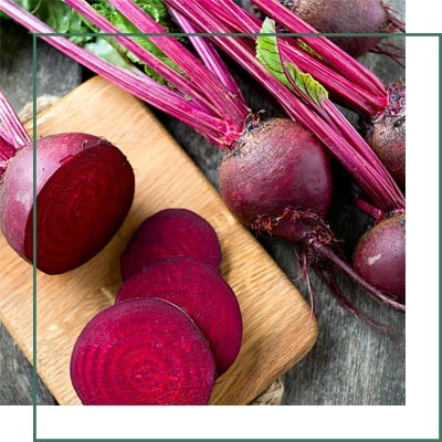 Beet root Extract Manufacturer