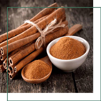 Cinnamomum Zeylanicum Bark Extracts