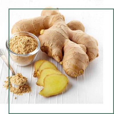 Ginger Extracts Manufacturer