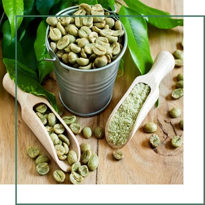 Green Coffee Herbal Extracts Manufacturer and Supplier