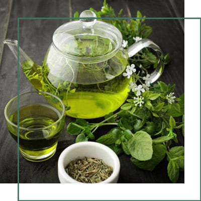 Green Tea Extract Herbal Extracts Supplier