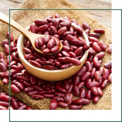 Kidney Bean Extract Exporter