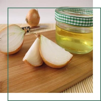 Onion Extract Manufacturer in India