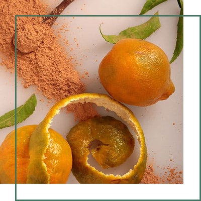 Orange Peel Herbal Extracts Manufacturer