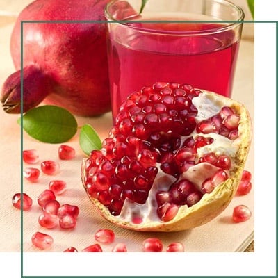 Pomegranate Extract Manufacturer