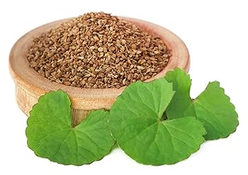 81Y7nW1u9yL._UF350,350_QL80_ 81Y7nW1u9yL._UF350,350_QL80_ Ajwain Extract