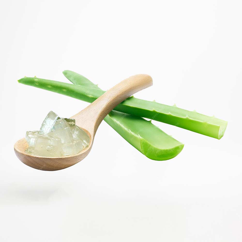 aloe-vera aloe-vera aloe-vera